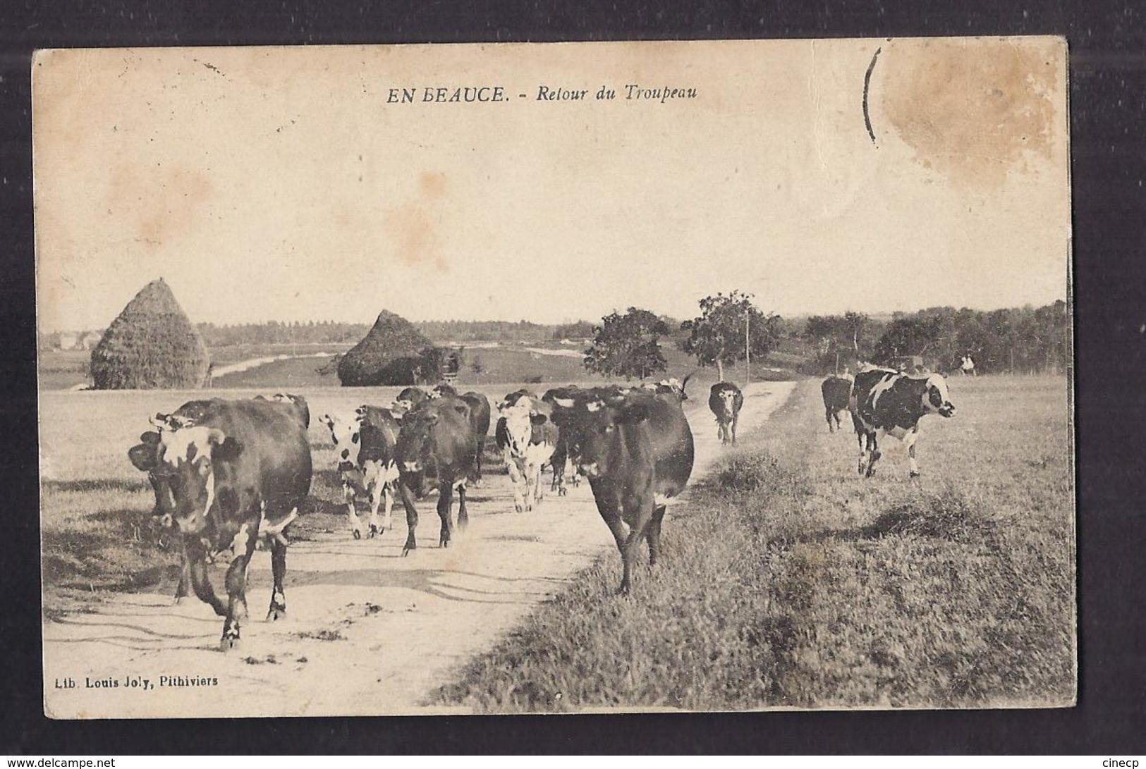 CPA 28 - EN BEAUCE - Retour Du Troupeau - TB PLAN Vaches Sur Le Chemin - Autres & Non Classés