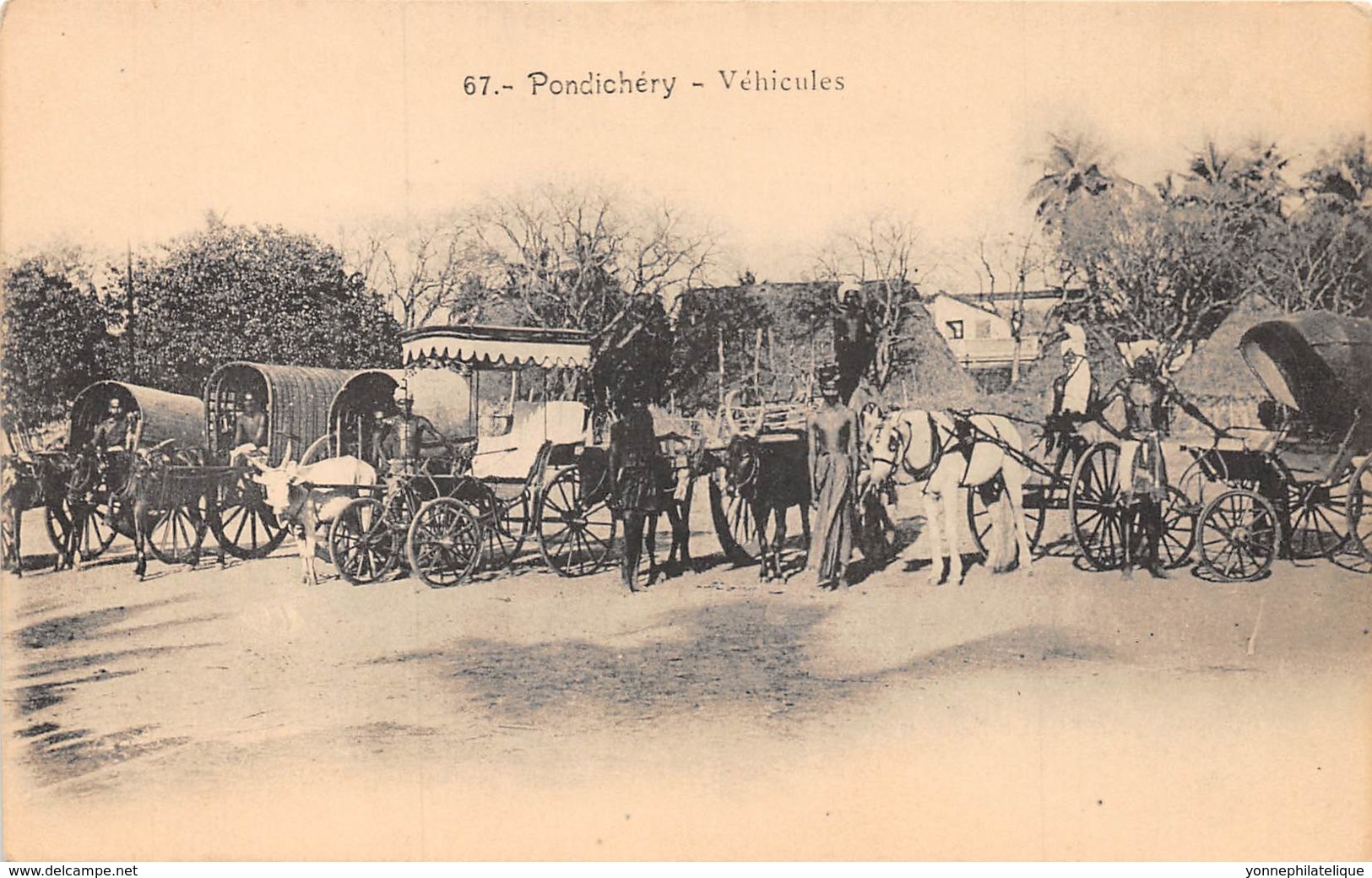 Inde Française - Divers / 40 - Pondichery - Véhicules - India