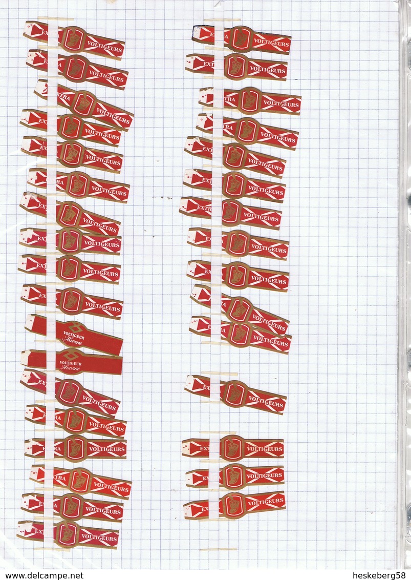 EXTRA VOLTIGEURS : +/- 60 Bagues Françaises Individuelles Avec N° ( Lot 2 ) - Bagues De Cigares