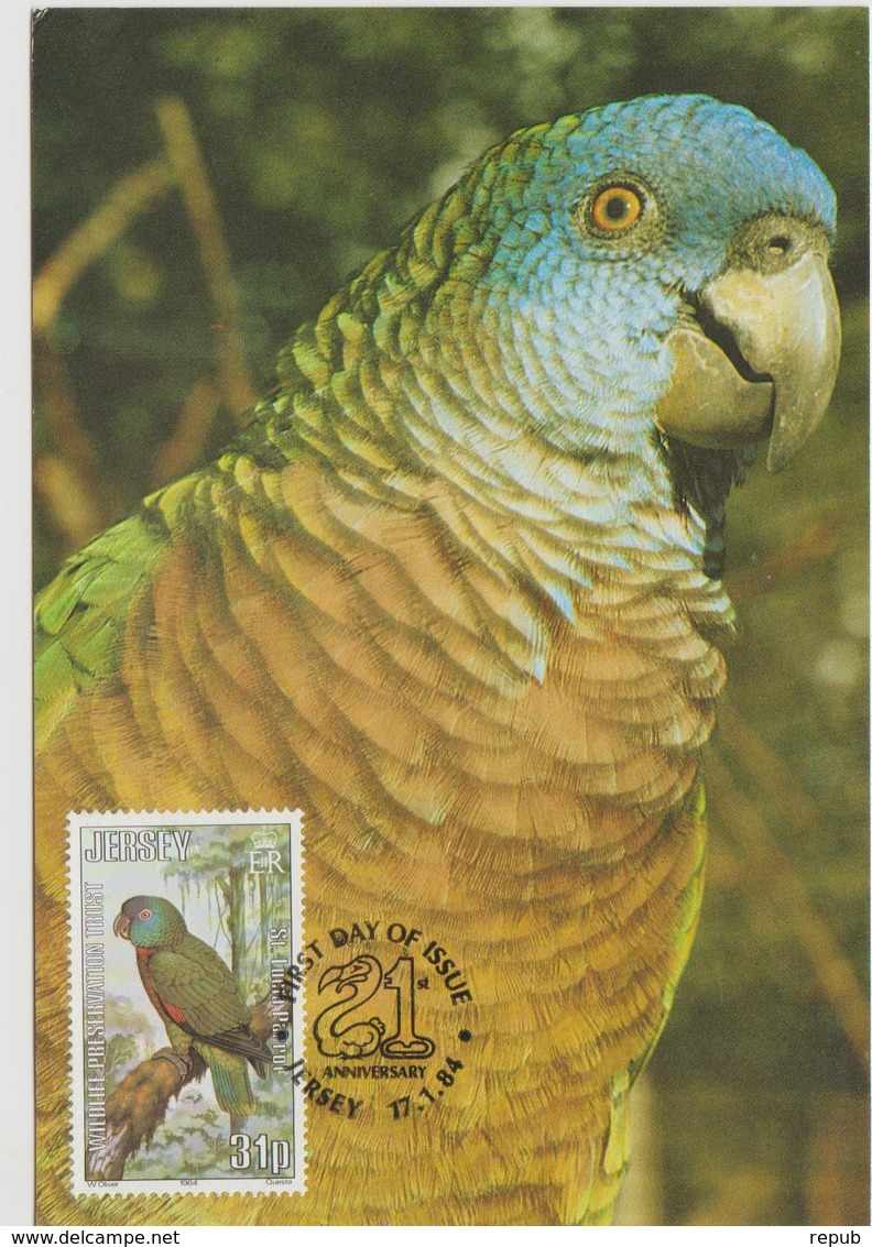 Jersey Carte Maximum Oiseaux 1984 Perroquet 313 - Jersey