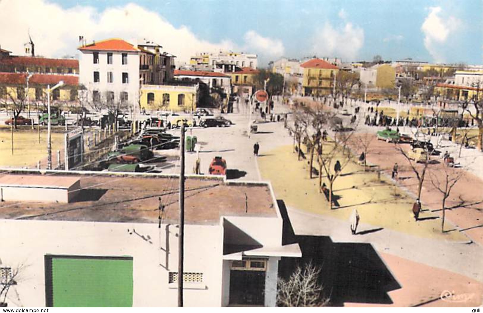 Afrique ALGERIE  SETIF Rue Centrale à Gauche Le Lycée  (Editions COMBIER CIM 293  Collection Pignella)*PRIX FIXE - Sétif