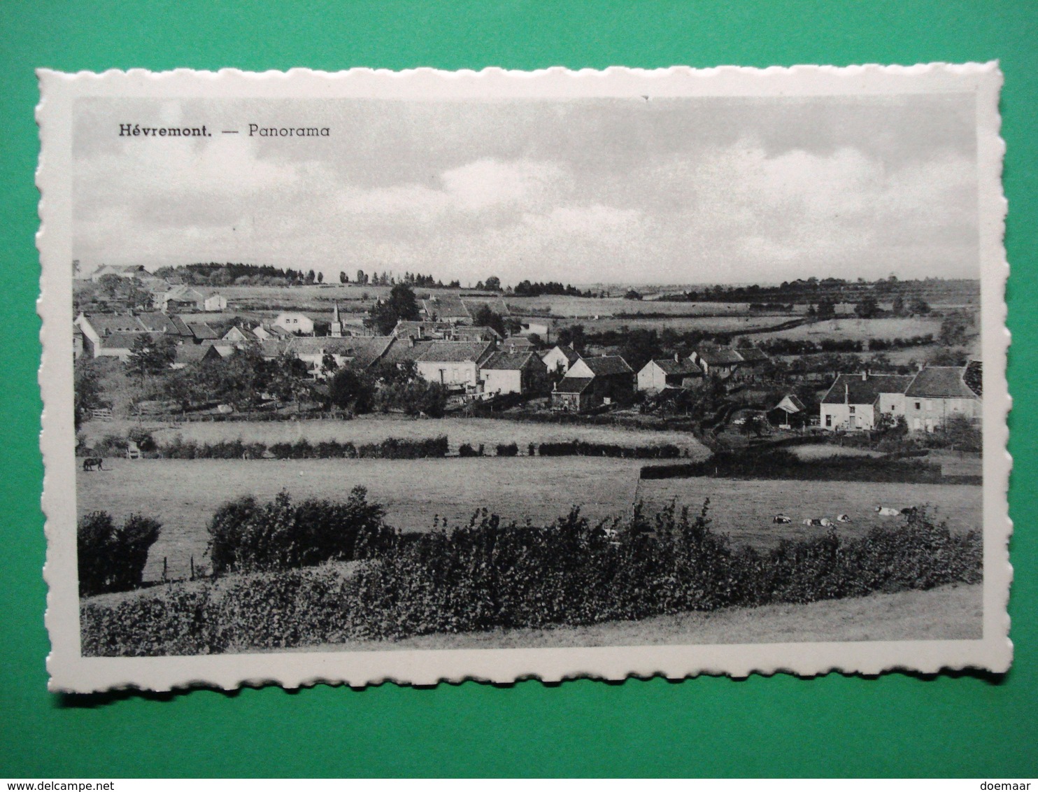 BE1709 Hèvremont Hevrement Heverberg Panorama - Andere & Zonder Classificatie