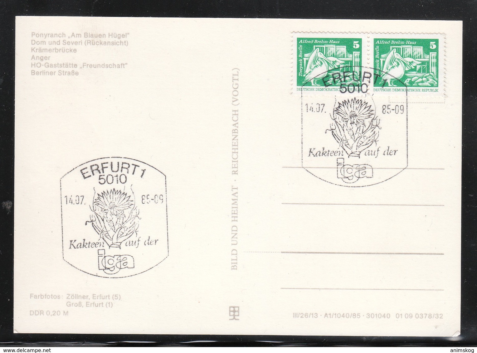 DDR 1985, Ansichtskarte Erfurt Mit, 2 SStpl. Kaktus / GDR 1982, Picture Postcard Erfurt With 2x Spec. Postmark Cactus - Sukkulenten