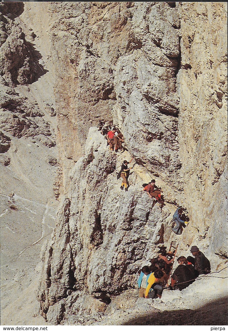 DOLOMITI - VIA FERRATA CATINACCIO D'ANTERMOIA - NUOVA - Alpinisme