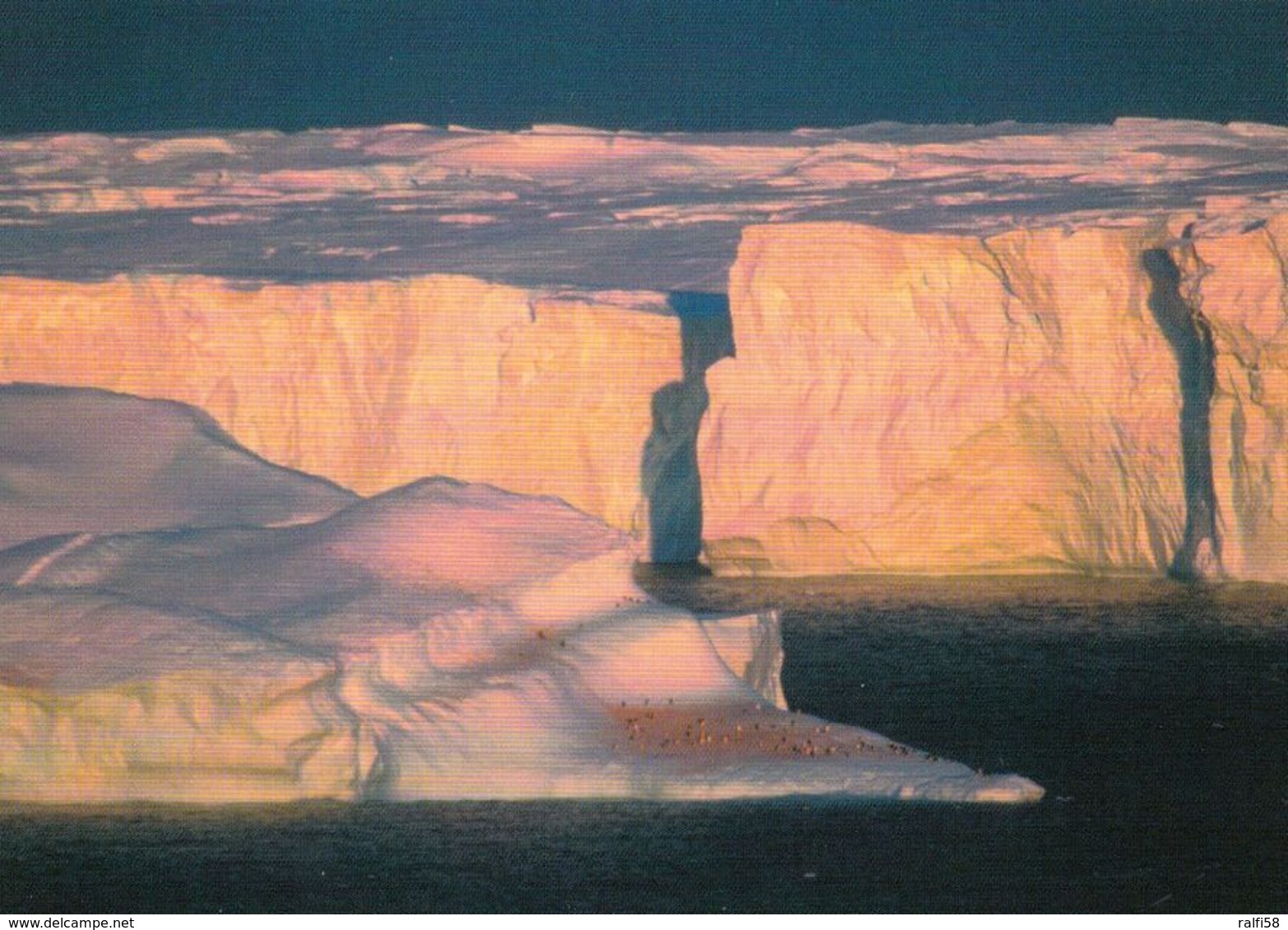 1 AK Antarctica Antarktis Terre Adelie * Penguins Resting On Iceberg With Glacier In The Background * - Sonstige & Ohne Zuordnung