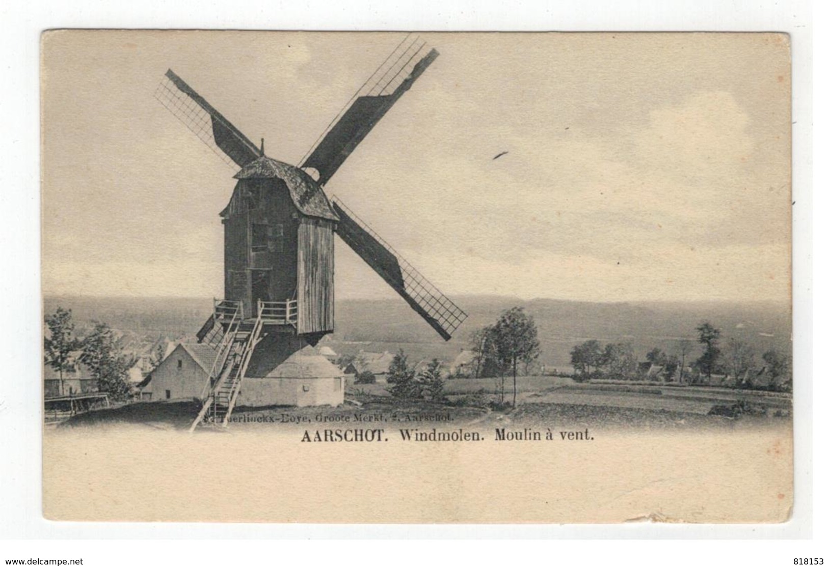 AARSCHOT. Windmolen. Moulin à Vent - Aarschot