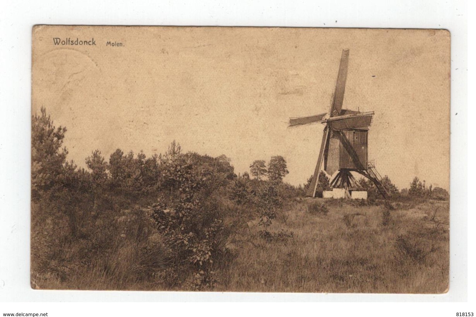 Wolfsdonk  Wolfsdonck  Molen - Aarschot