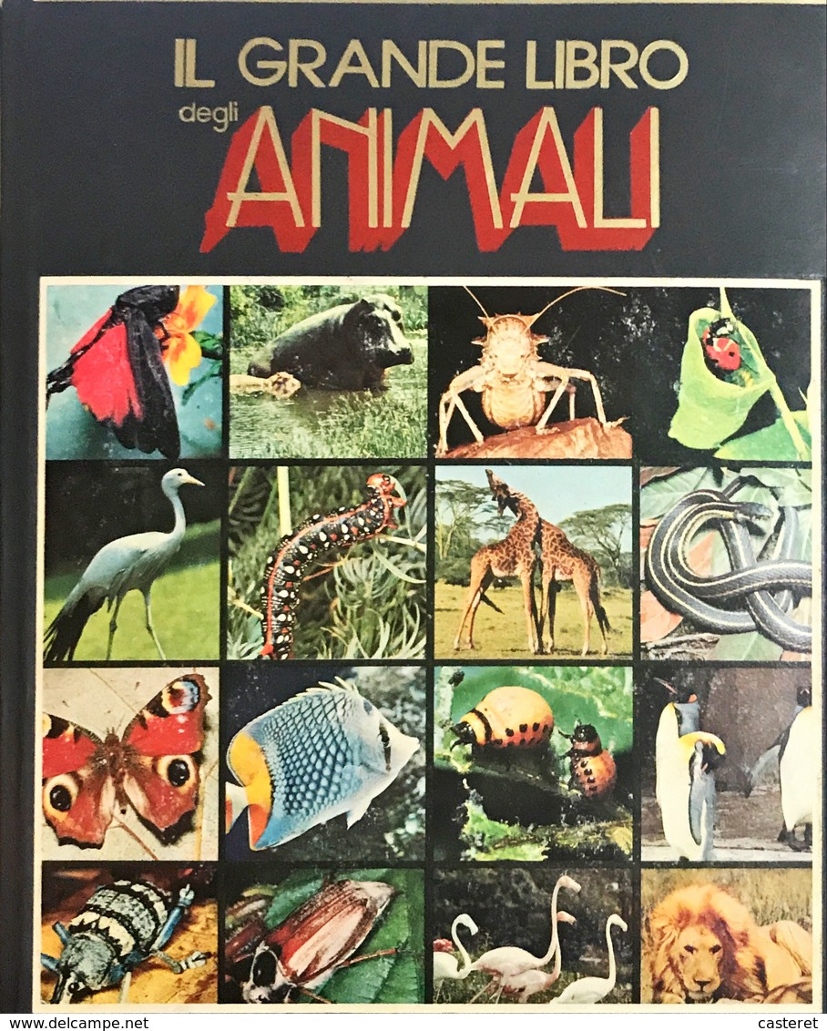 Il Grande Libro Degli Animali - 1988 Alberto Peruzzo Editore - Enzyklopädien
