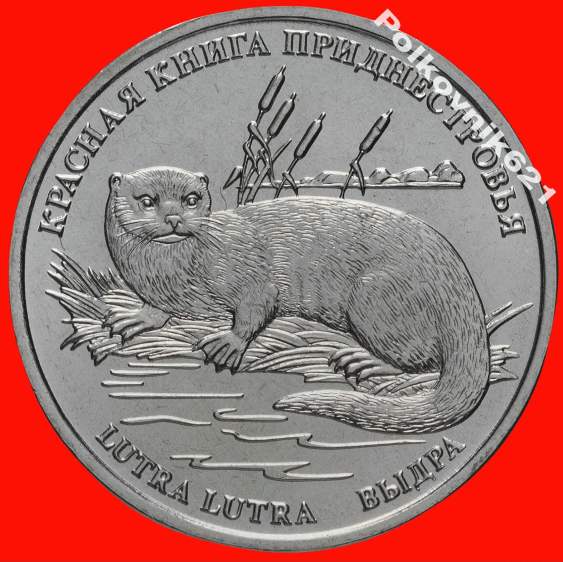 Transnistria / Moldova 1 Ruble 2018 Red Book. Otter. New! - Moldavie