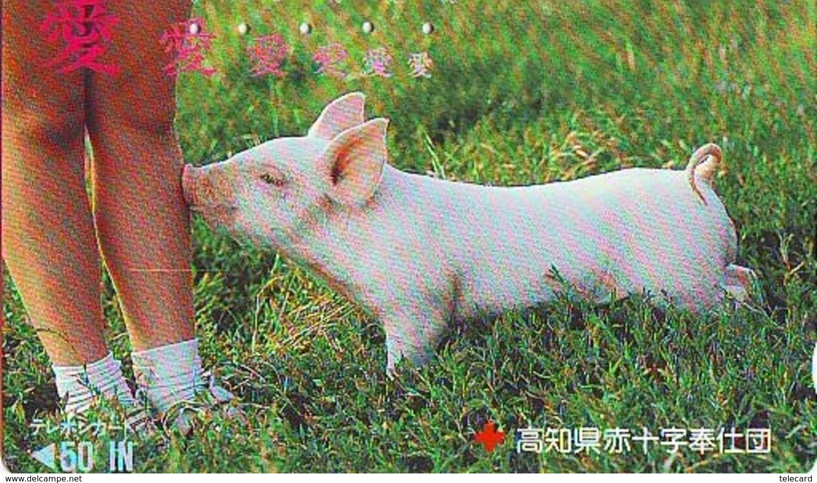 Télécarte Japon *  YEAR Of The PIG (己亥) ZODIAC  (590) COCHON * PHONECARD JAPAN * TK * SCHWEIN * PORCO * VARKEN - Zodiaco