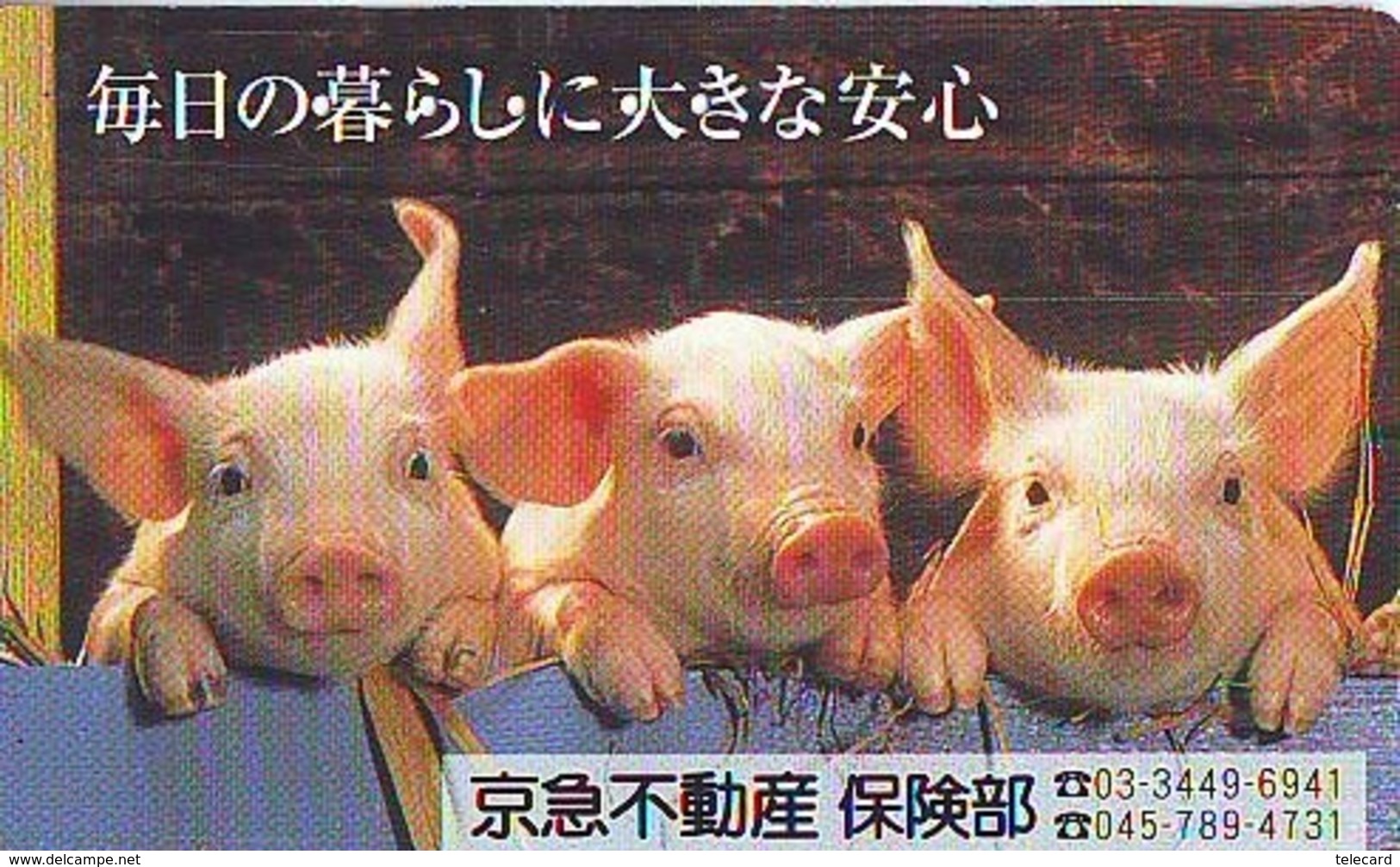 Télécarte Japon *  YEAR Of The PIG (己亥) ZODIAC  (594) COCHON * PHONECARD JAPAN * TK * SCHWEIN * PORCO * VARKEN - Zodiaque