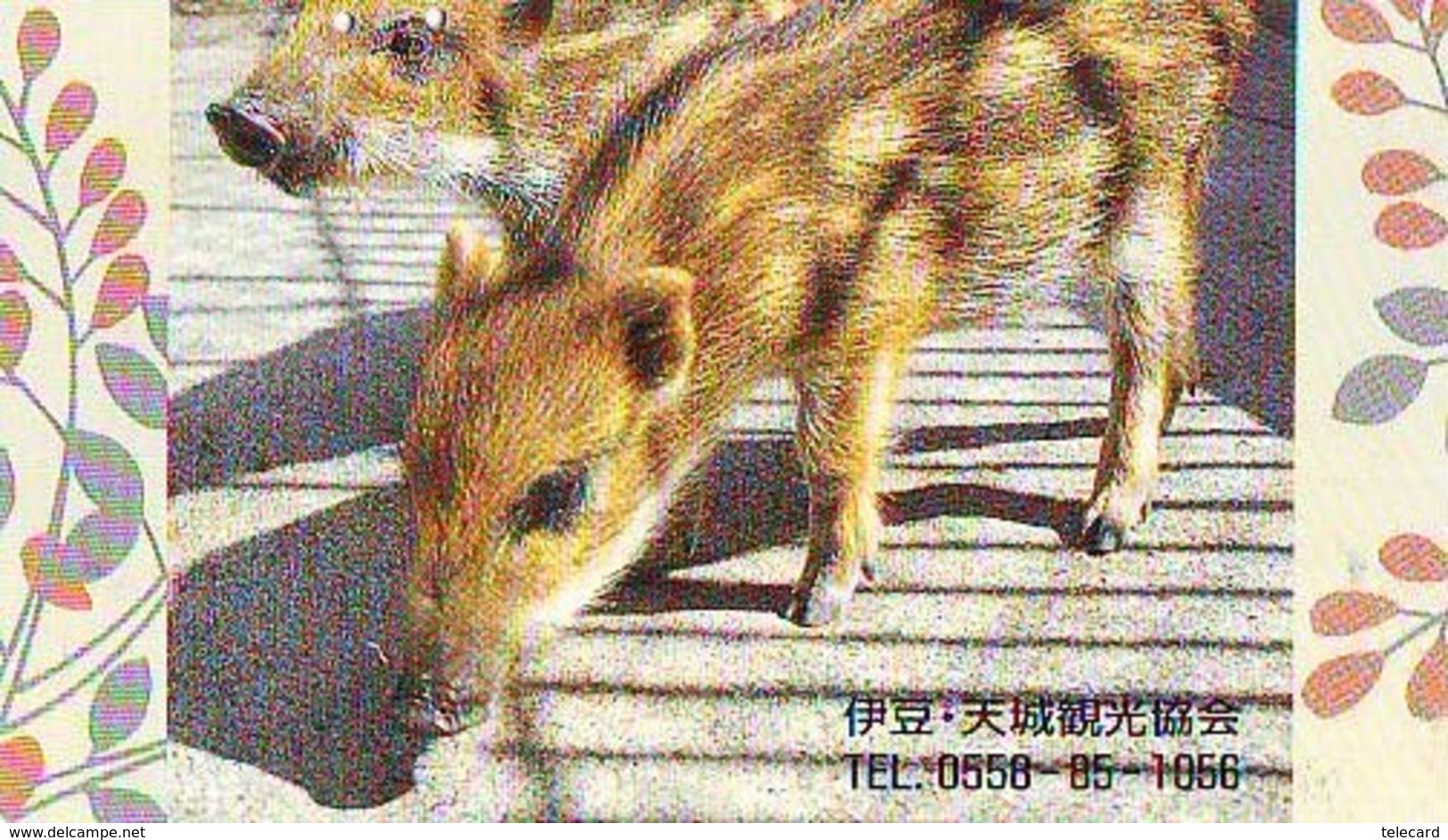 Télécarte Japon *  YEAR Of The PIG (己亥) ZODIAC  (599) COCHON * PHONECARD JAPAN * TK * SCHWEIN * PORCO * VARKEN - Zodiaco