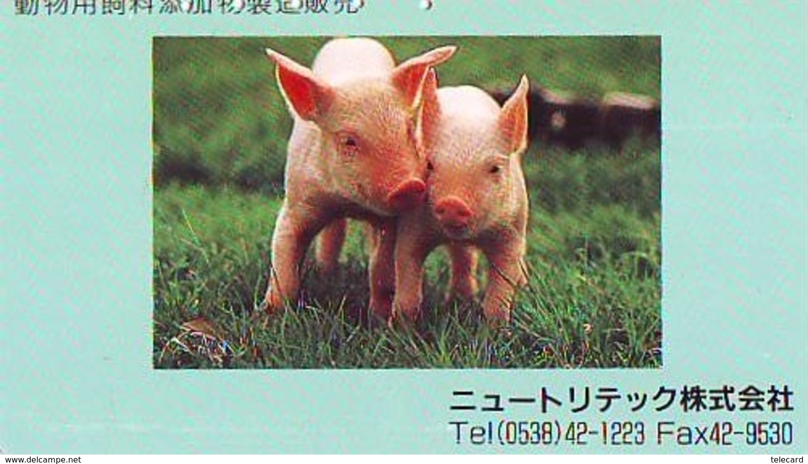 Télécarte Japon *  YEAR Of The PIG (己亥) ZODIAC  (601) COCHON * PHONECARD JAPAN * TK * SCHWEIN * PORCO * VARKEN - Zodiaco