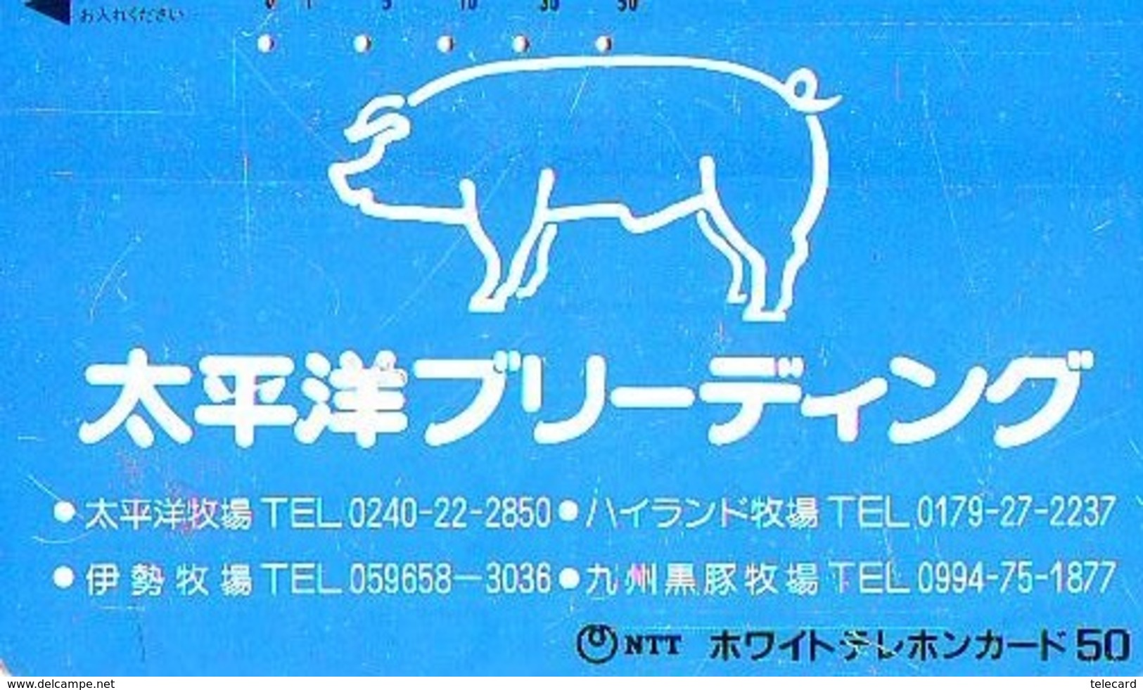 Télécarte Japon *  YEAR Of The PIG (己亥) ZODIAC  (617) COCHON * PHONECARD JAPAN * TK * SCHWEIN * PORCO * VARKEN - Zodiaco