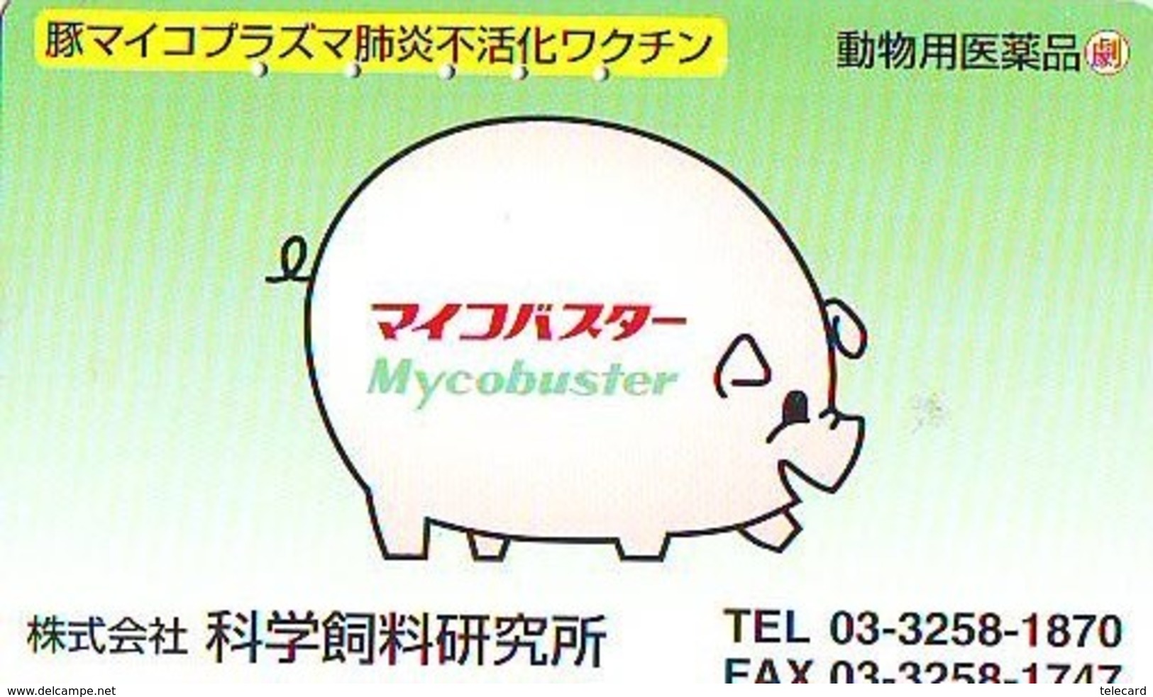 Télécarte Japon *  YEAR Of The PIG (己亥) ZODIAC  (620) COCHON * PHONECARD JAPAN * TK * SCHWEIN * PORCO * VARKEN - Zodiaco