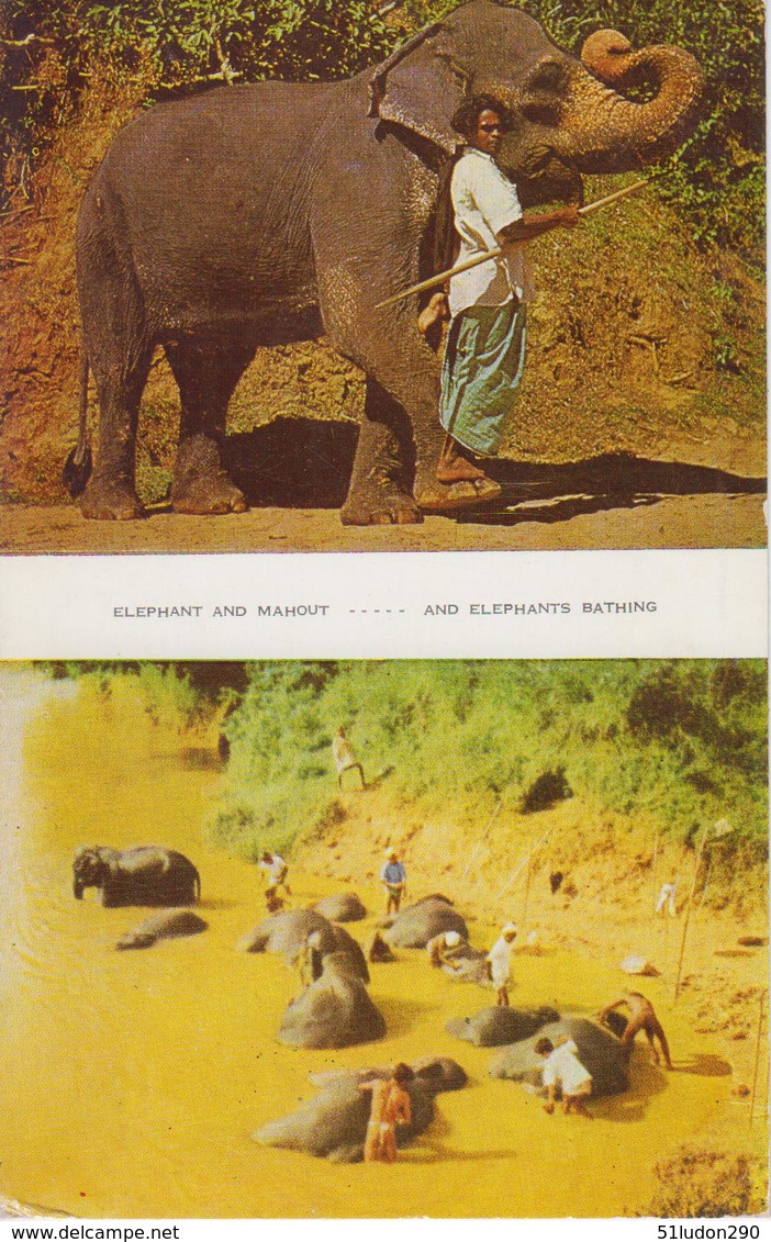 CPSM Ceylon - Sri Lanka - Near Kandy - Elephant And Mahout - Elephants Bathing (2 Vues Animées) - Sri Lanka (Ceylon)