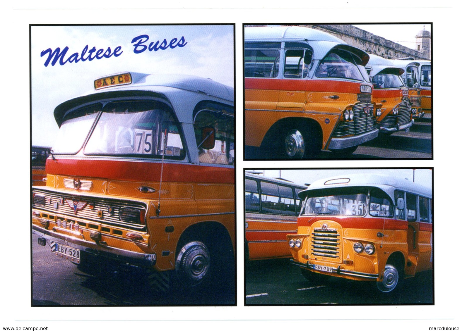 Malta. Maltese Buses. Bus Maltais. Malte. - Malte