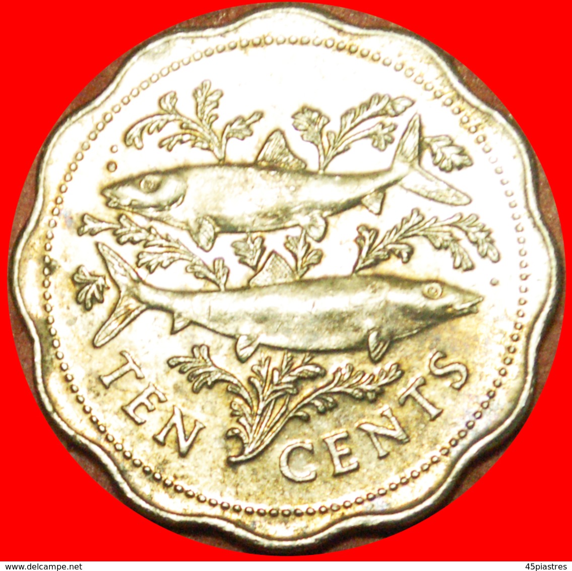 # FISHES AND SHIP (1974-2005): THE BAHAMAS ★ 10 CENTS 1998 MINT LUSTER! LOW START ★ NO RESERVE! - Bahamas