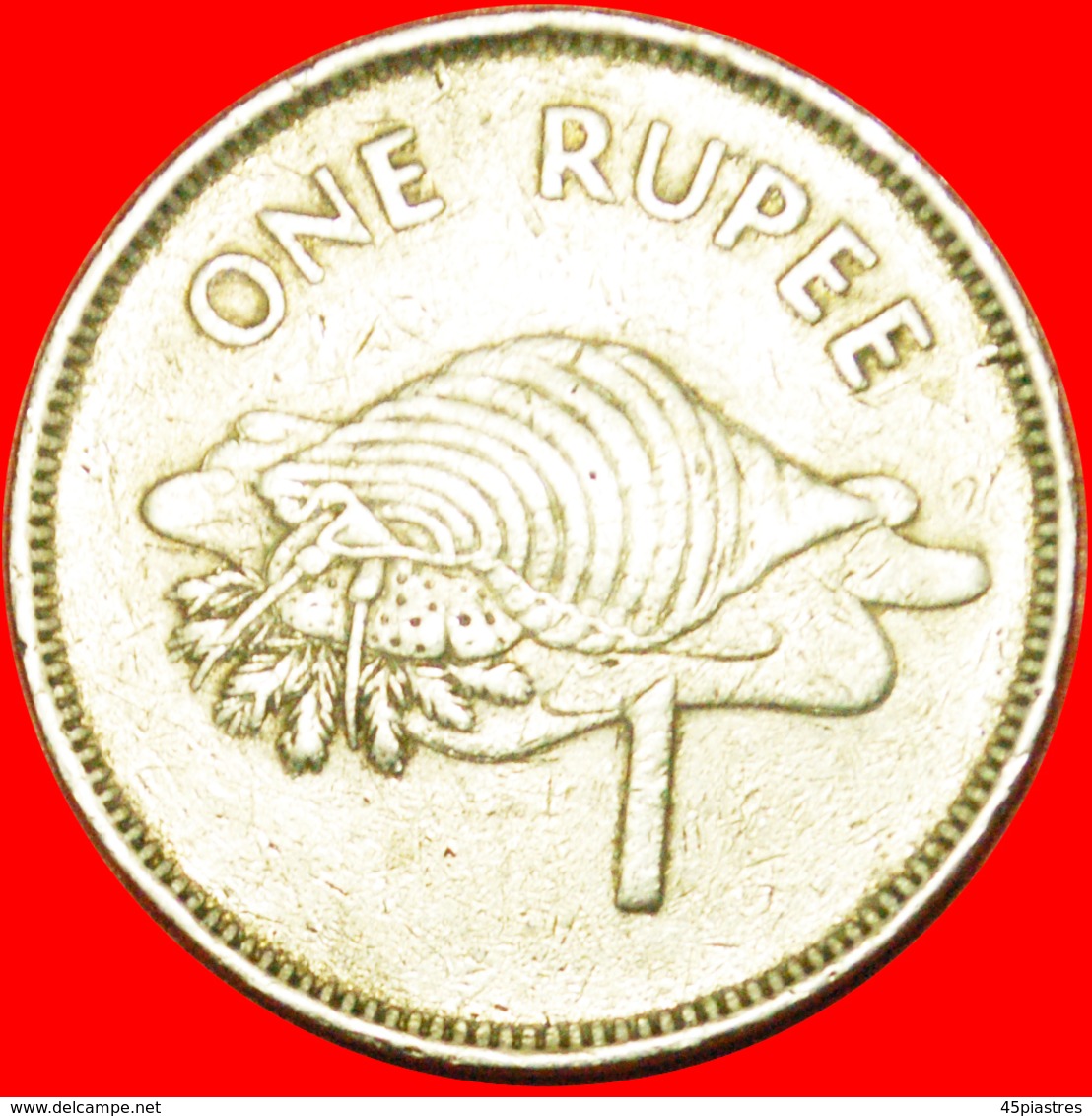 # GREAT BRITAIN: SEYCHELLES ★ 1 RUPEE 1982 TRITON SHELL! LOW START ★ NO RESERVE! - Seychellen