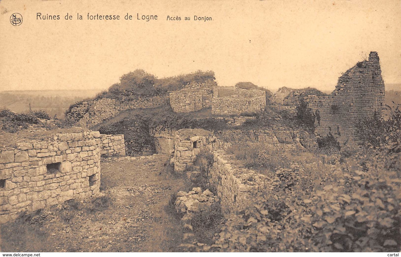 Ruines De La Forteresse De LOGNE - Accès Au Donjon - Ferrieres