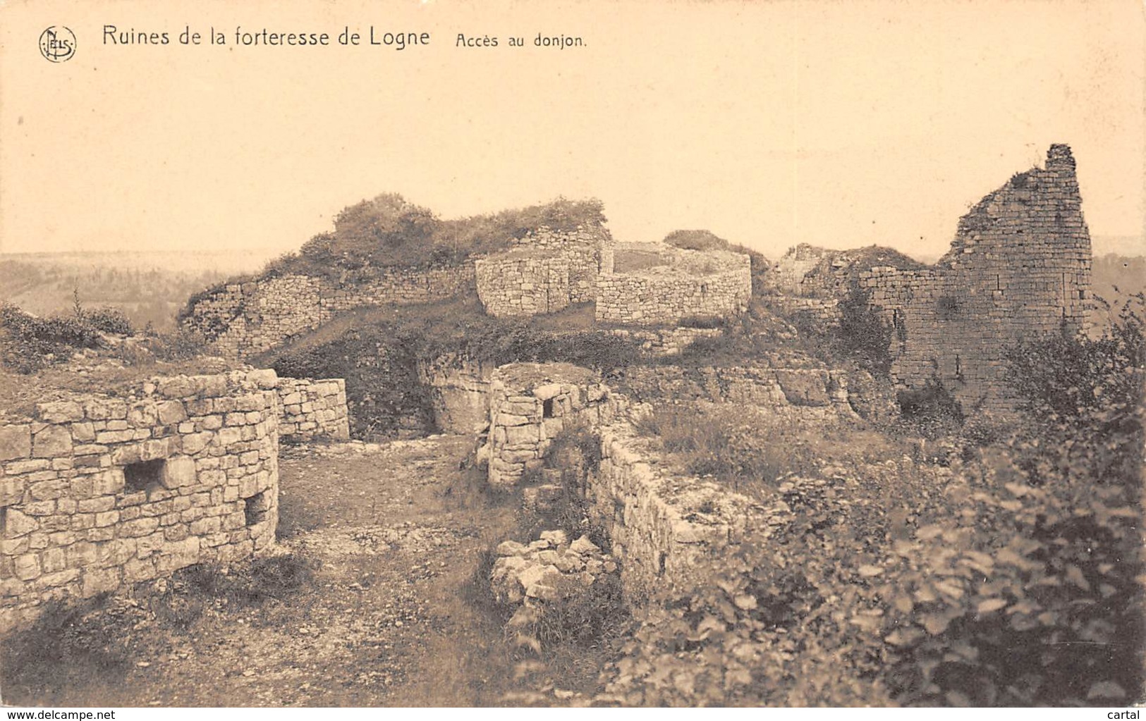 Ruines De La Forteresse De LOGNE - Accès Au Donjon - Ferrieres