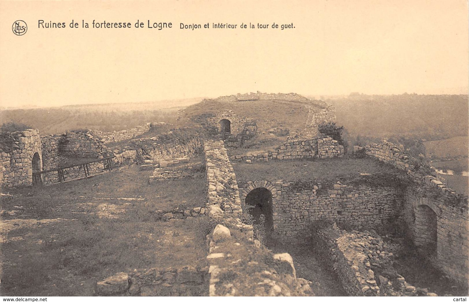 Ruines De La Forteresse De LOGNE - Donjon Et Intérieur De La Tour De Guet - Ferrieres