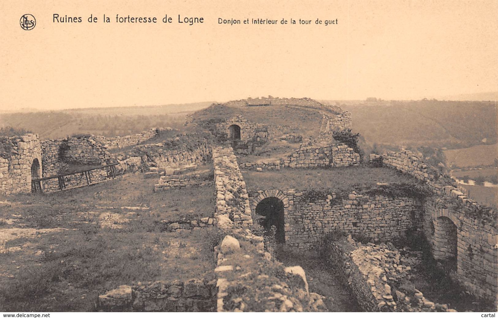 Ruines De La Forteresse De LOGNE - Donjon Et Intérieur De La Tour De Guet - Ferrières