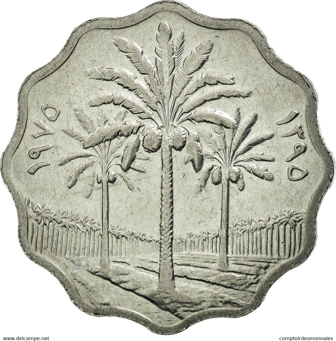 Monnaie, Iraq, 5 Fils, 1975, SUP, Stainless Steel, KM:141 - Iraq