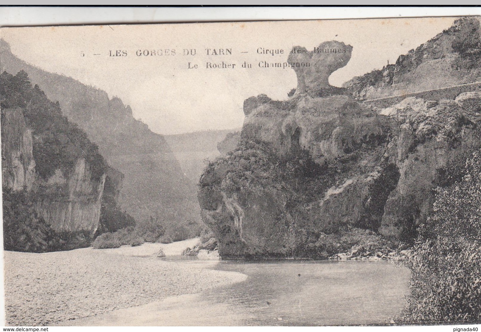 Cp , 48 , GORGES Du TARN , Cirque Des Baumes , Le Rocher Du Champignon - Gorges Du Tarn