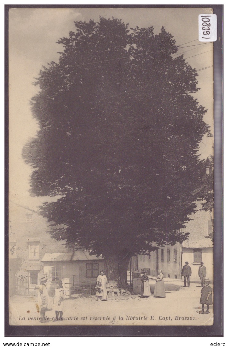 DISTRICT DE LA VALLEE - LE BRASSUS - L'ARBRE DE LA LIBERTE - B ( 2 TROUS D'EPINGLE EN BAS ) - Autres & Non Classés