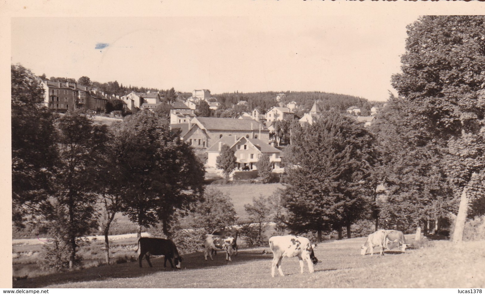 43 / LE CHAMBON SUR LIGNON / VUE GENERALE / VACHES - Ugine