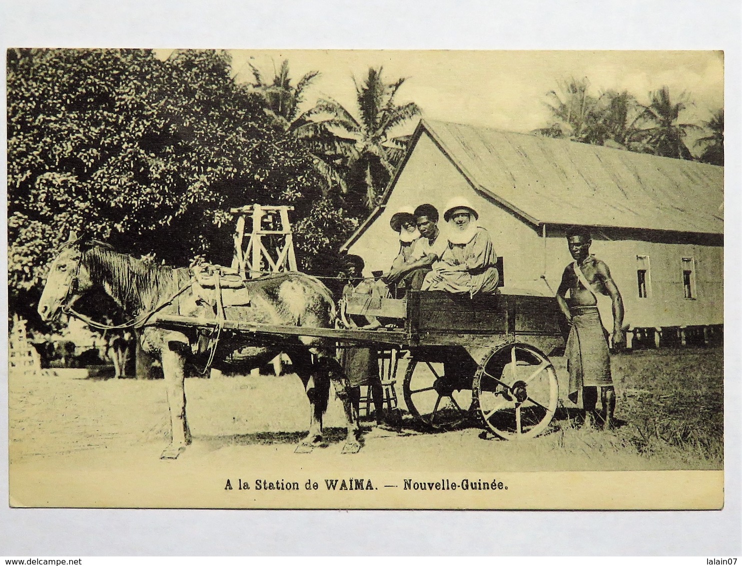 C.P.A. : Nouvelle Guinée : A La Station De WAIMA, Animé - Papouasie-Nouvelle-Guinée