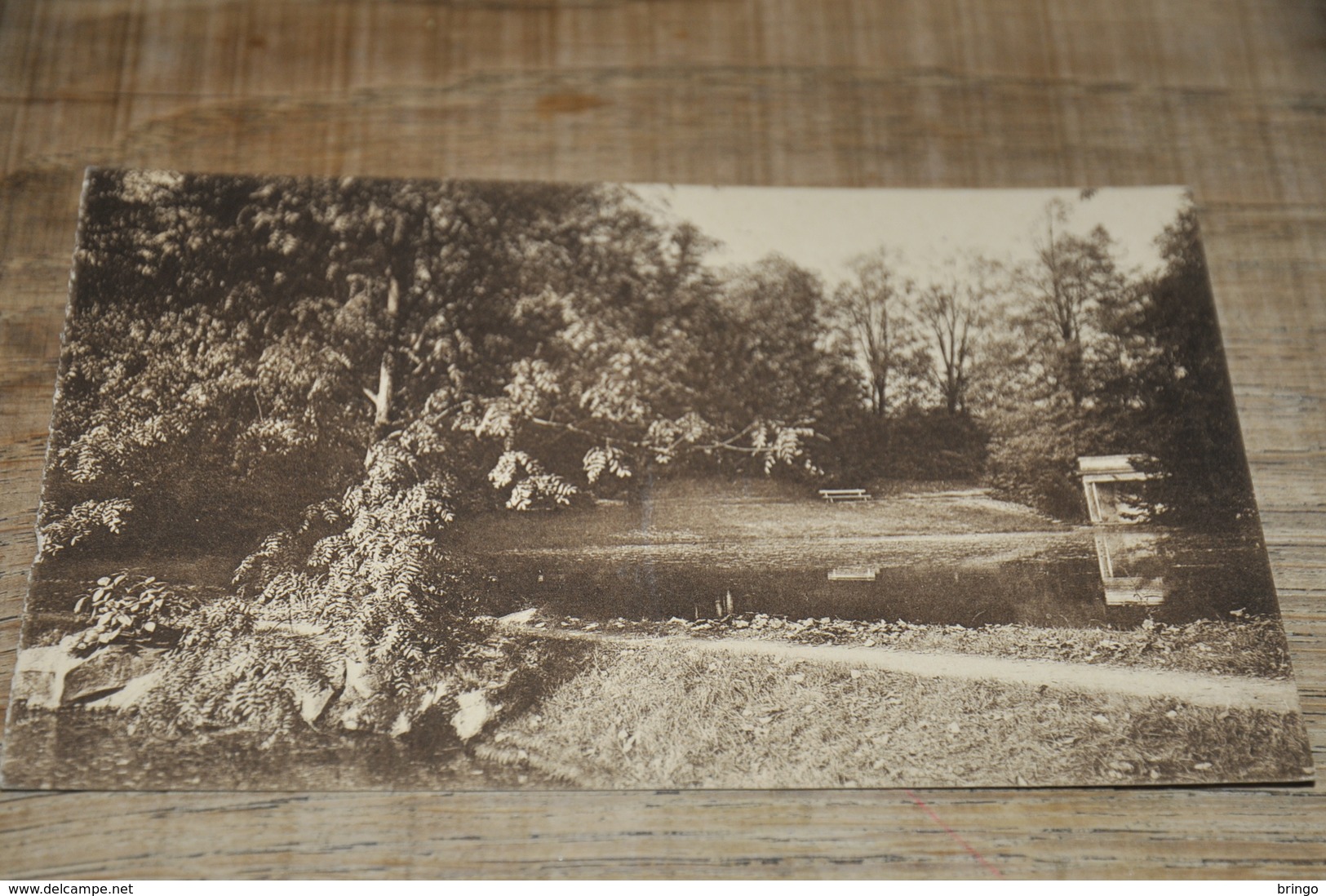 7002- ROYAUME DE BELGIQUE, DOMAINE DE MARIEMONT, LES ETANGS ET L'ANCIEN TEMPLE - Morlanwelz