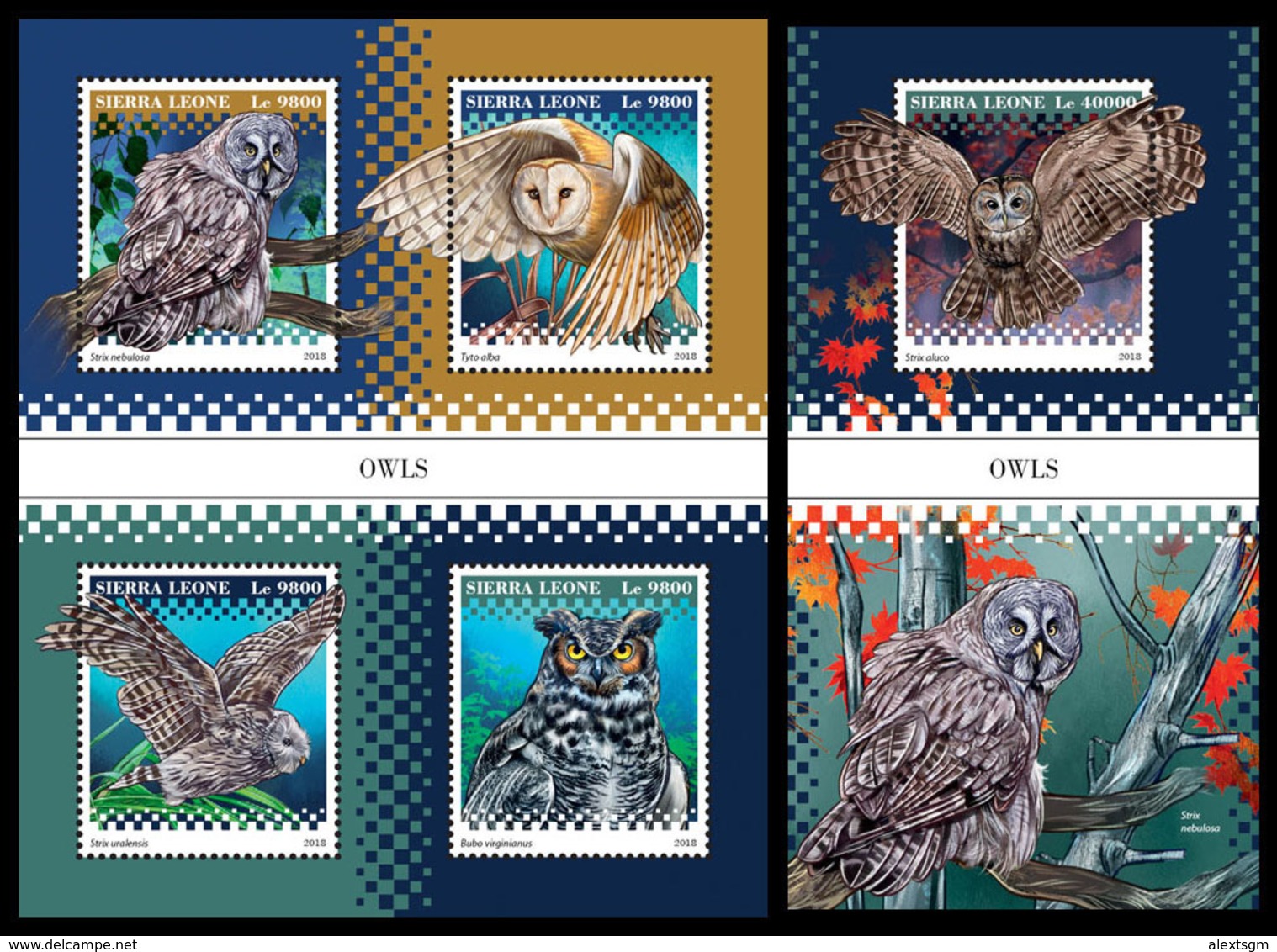 SIERRA LEONE 2018 - Owls. M/S + S/S Official Issue. - Búhos, Lechuza