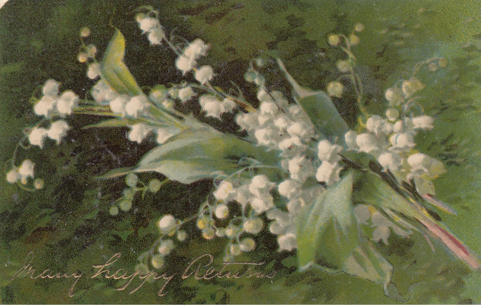 WhiteFlowers , 1908 ; TUCK 6996 - Fiori