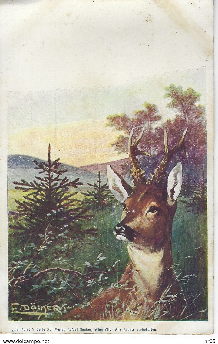 CPA Illsutree Par E. DOECKER -  Auerhahn Im Forst - Illsutration Signée CERF - Foret - Döcker, E.