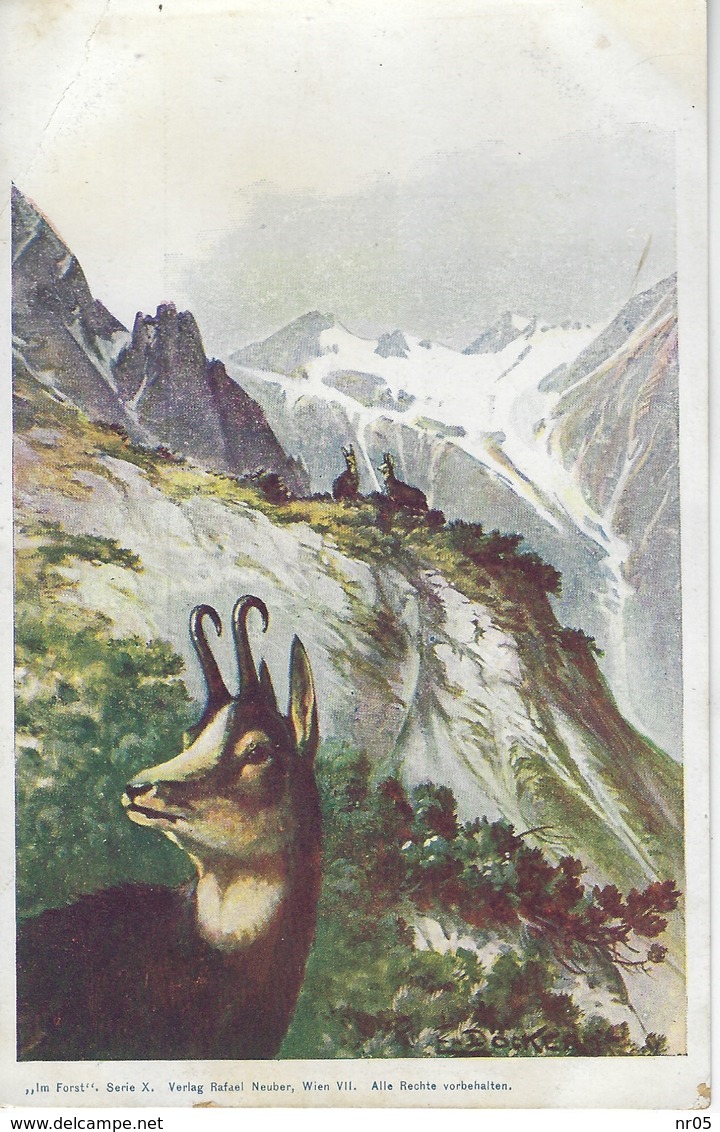 CPA Illsutree Par E. DOECKER -  Auerhahn Im Forst - Illsutration Signée CHAMOIS - Montagne - Döcker, E.