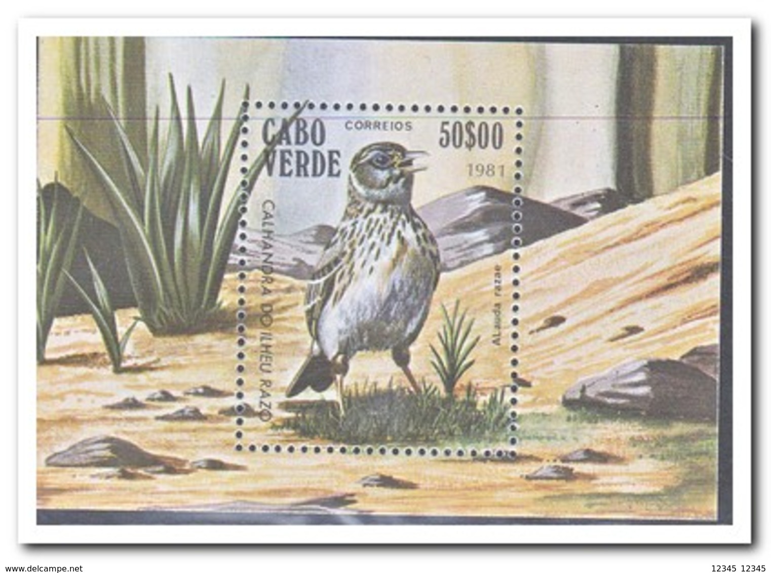 Kaapverdische Eilanden 1981, Postfris MNH, Birds - Cap Vert