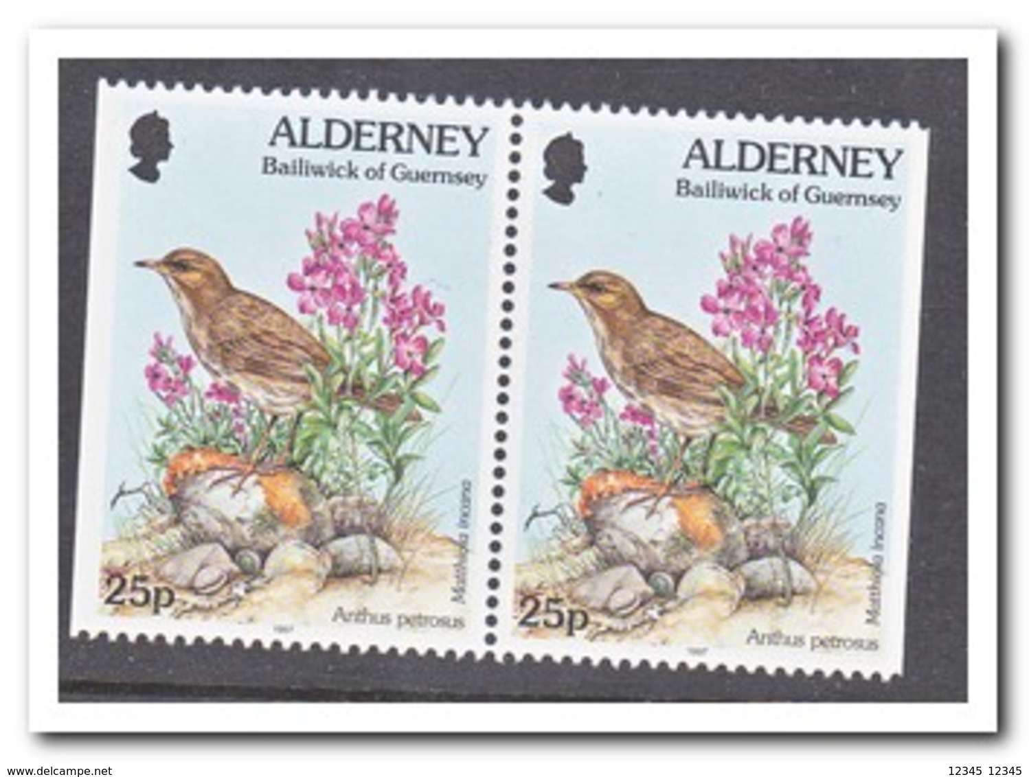 Alderney 1997, Postfris MNH, Birds - Alderney