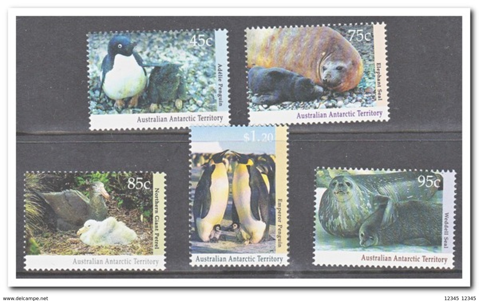 Australisch Antarctica 1994, Postfris MNH, Birds, Penguins - Ongebruikt