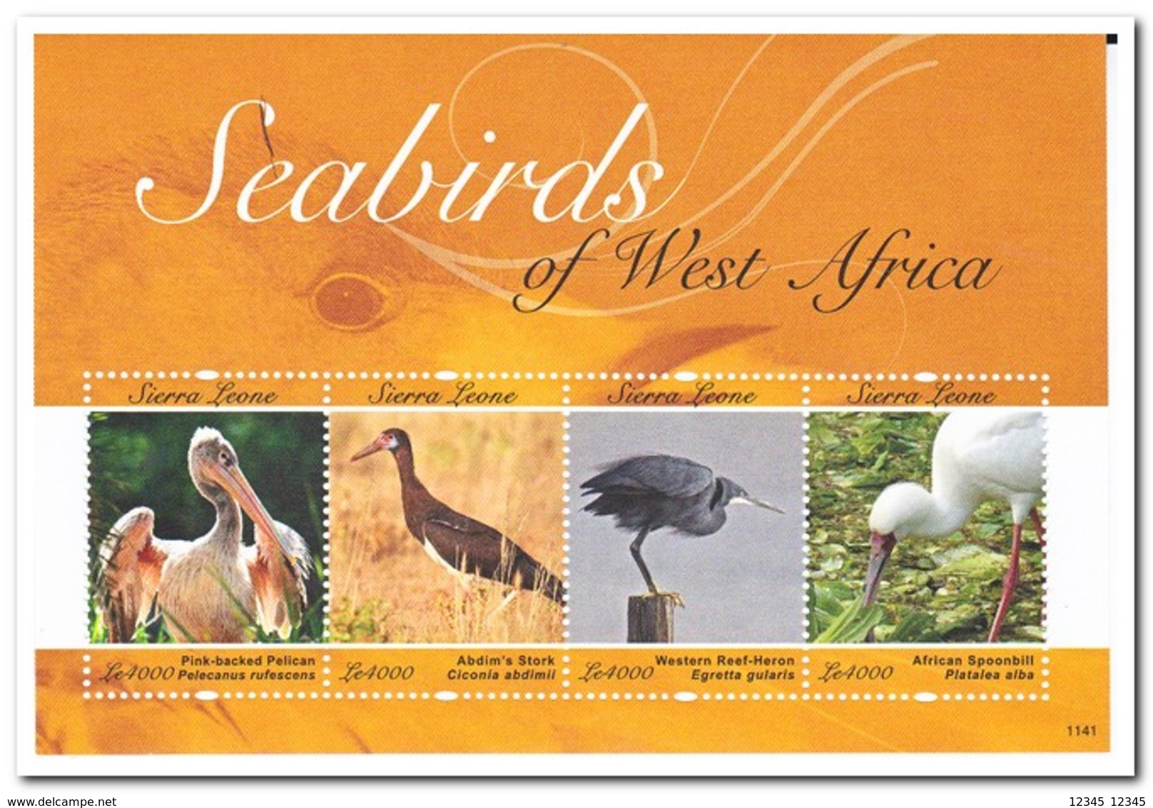 Sierra Leone 2011, Postfris MNH, Birds - Sierra Leone (1961-...)