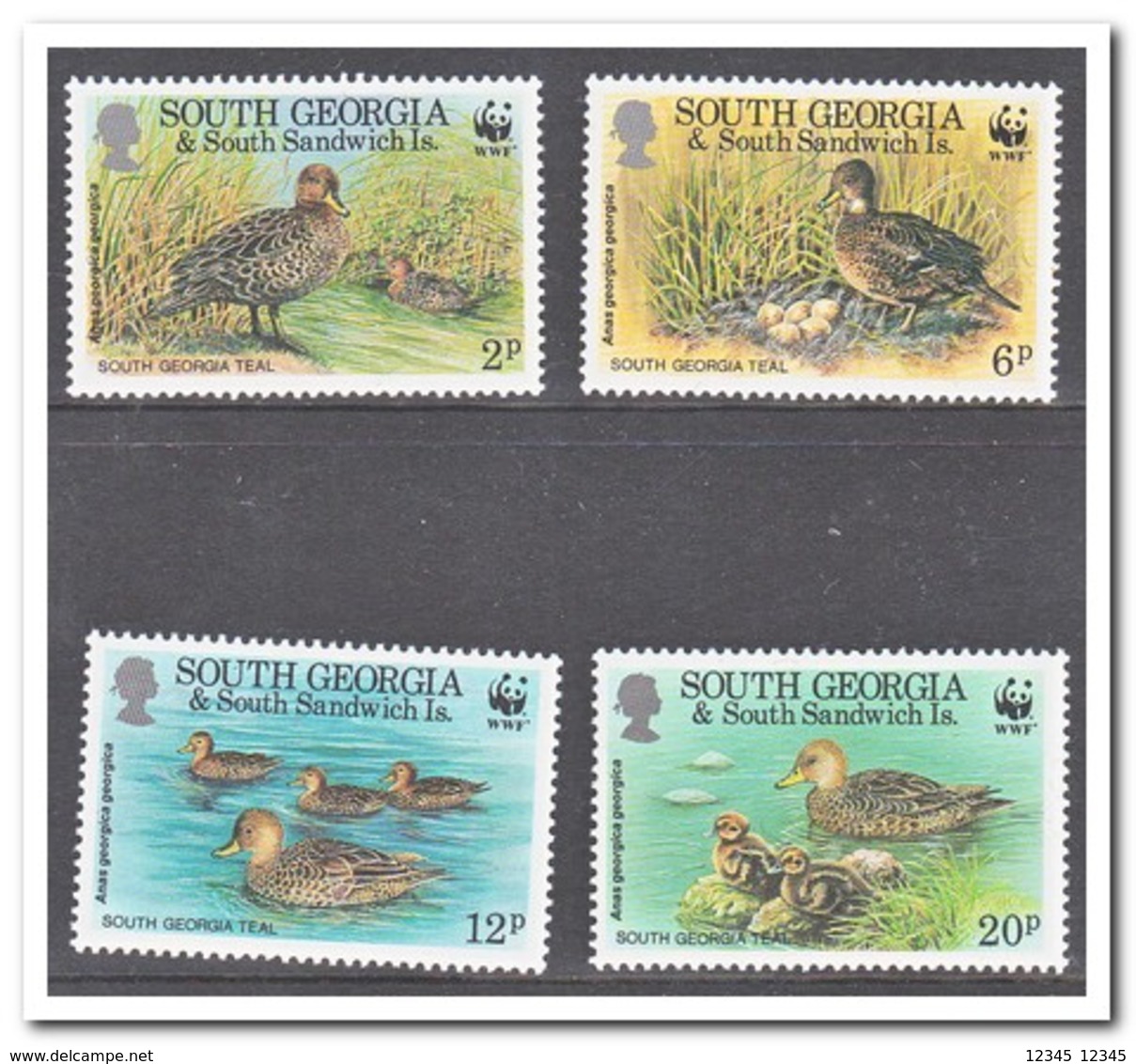 Zuid Georgia, Postfris MNH, Birds - Géorgie Du Sud