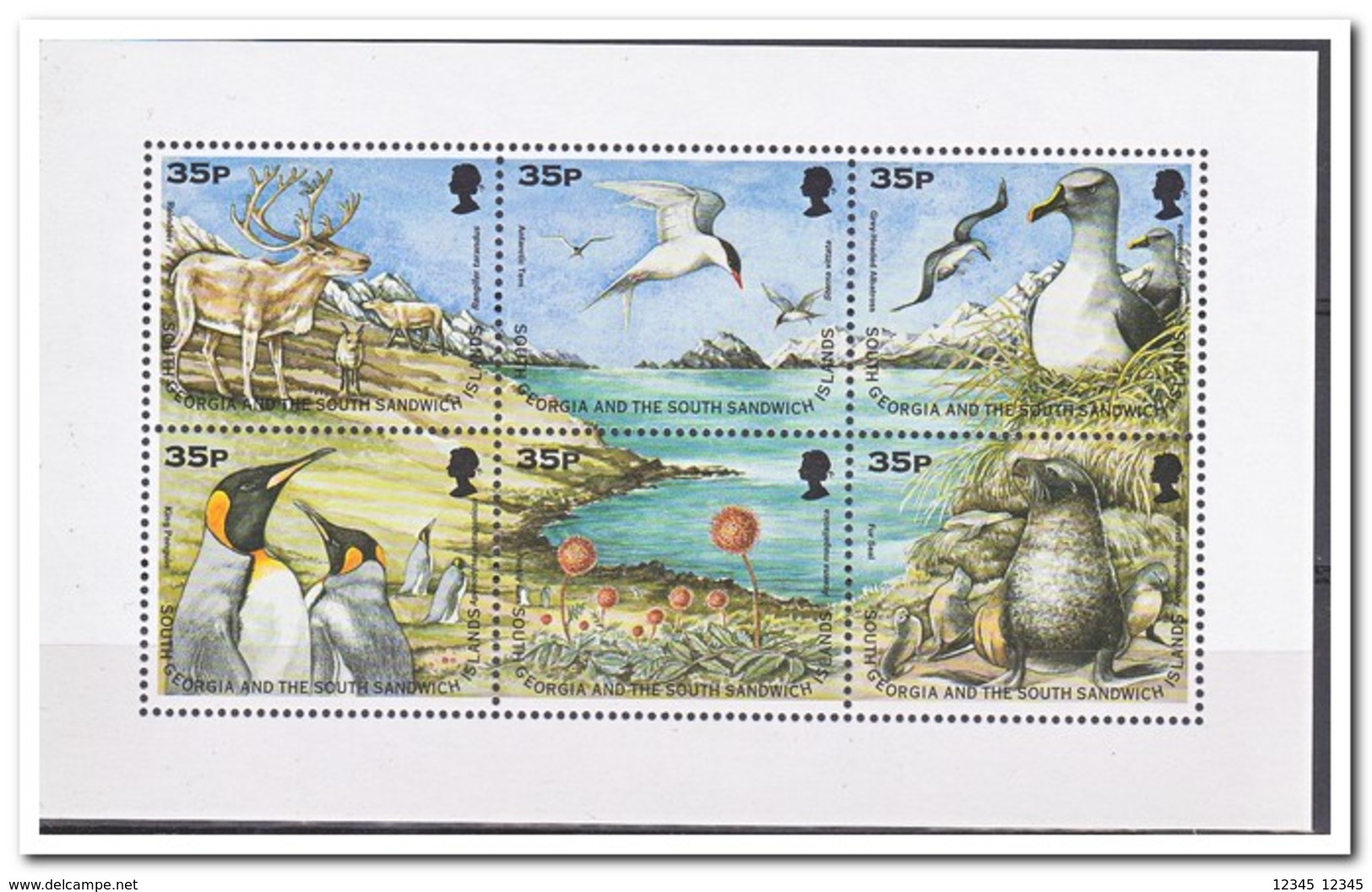 Zuid Georgia 1998, Postfris MNH, Birds, Seals - Südgeorgien