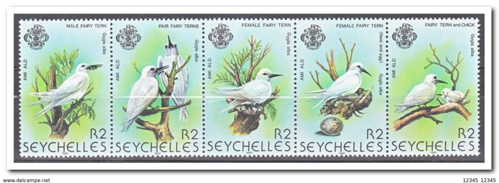 Seychellen 1981, Postfris MNH, Birds - Seychellen (1976-...)
