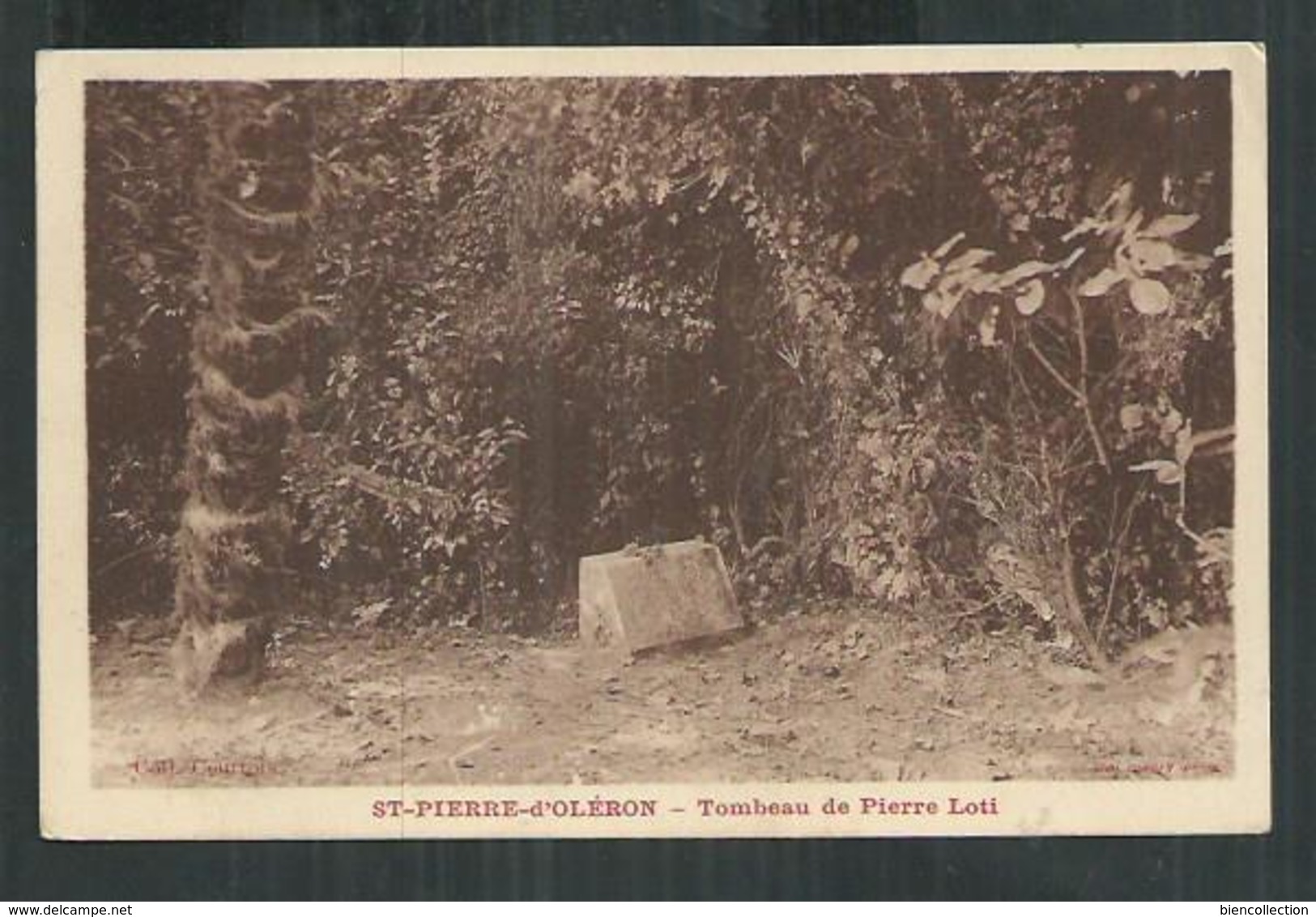 Exposition Coloniale De Paris 1931 ,40cts Femme Fachi Avec Petit Piquage à Cheval Sur Carte Postale - Storia Postale