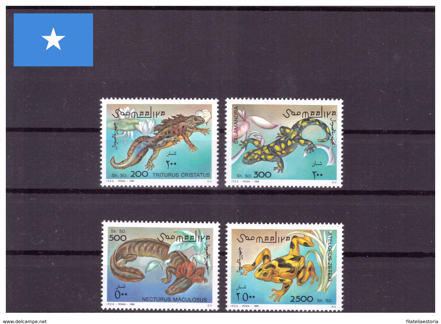 Somalie 1996 - MNH ** - Amphibiens - Michel Nr. 580-583 Série Complète (som020) - Somalie (1960-...)