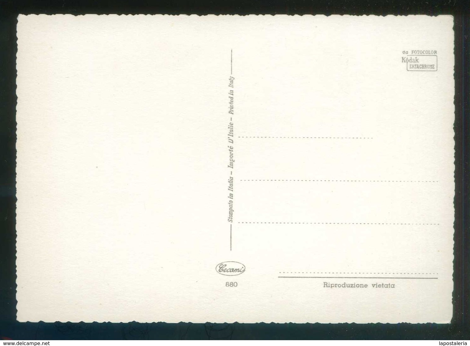 Ed. Cecami Nº 880. Fabricación Italiana. Nueva. - Otros & Sin Clasificación