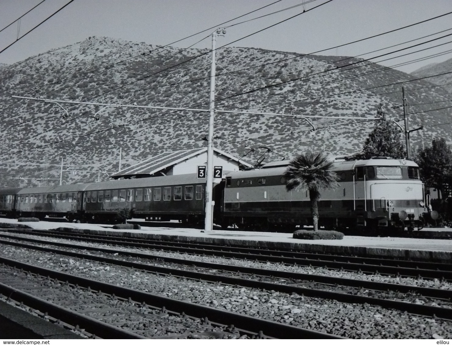 Photo Ancienne Train Locomotive Treno Stazione Gare Italie Italia - Stazioni Con Treni