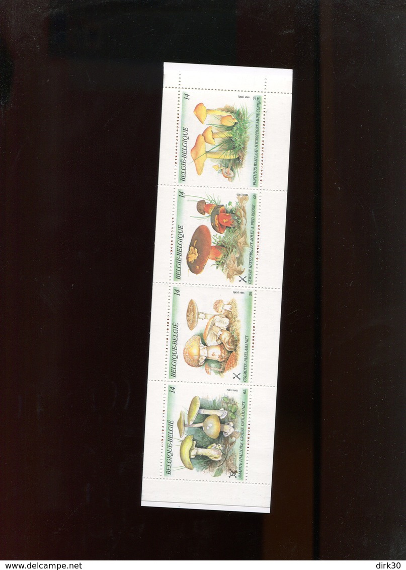 Belgie 2418/21 1991 B21 MNH Mushrooms (envoi Grand Format / Large Format For Shipping Rate) - Non Classés