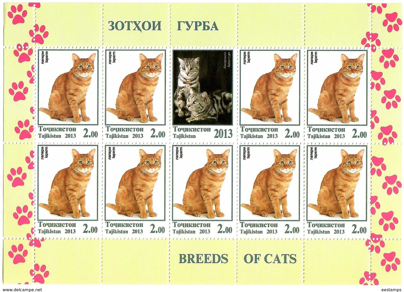 Tajikistan.2013 Cats. 3 Sheetlets, Each Of 9 + Label   Michel # 614-16 KB - Tayikistán